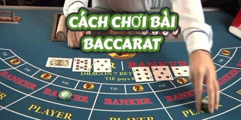 Tân binh cần nắm rõ cách chơi baccarat