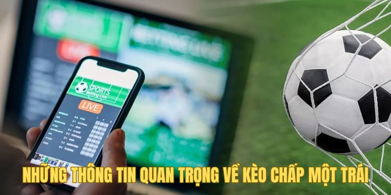 Những thông tin quan trọng về kèo chấp 1.0