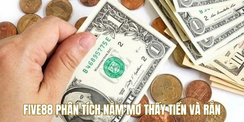 Five88 phân tích nằm mơ thấy tiền và rắn